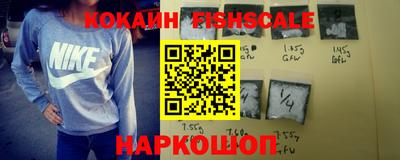 гашик Камышлов