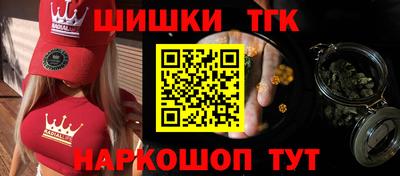 гашик Камышлов