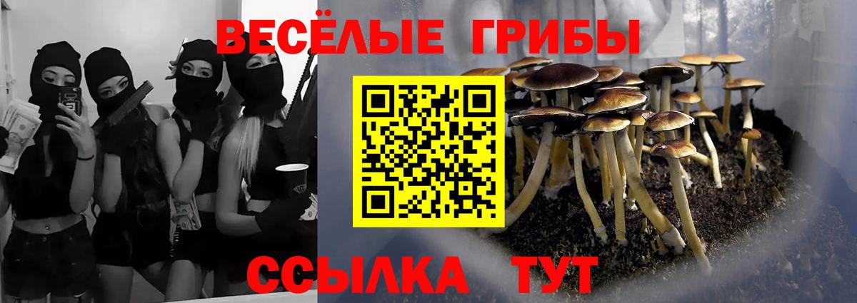 Лабытнанги  Галлюциногенные грибы Cubensis  Вход с VPN 